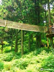 Forest Adventure Itoshima