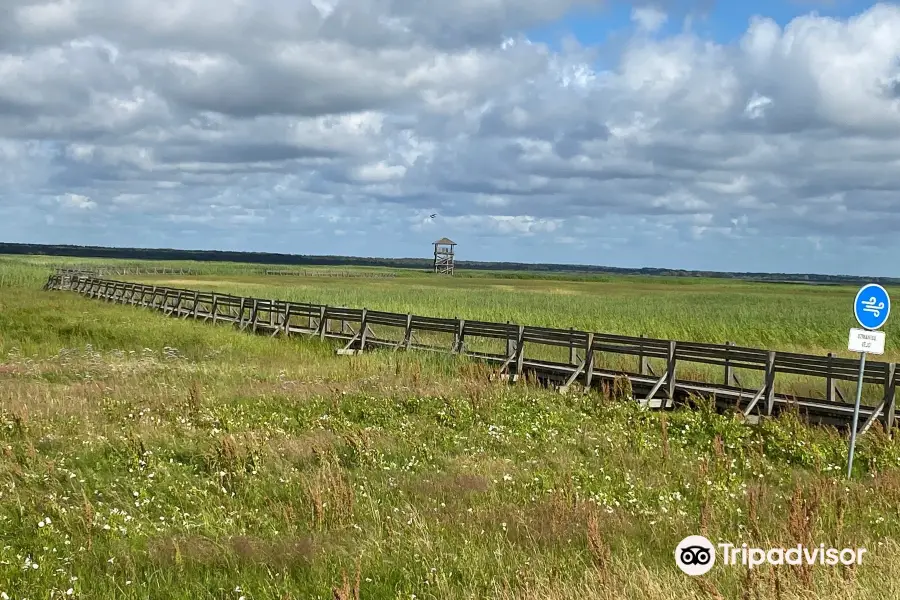 Liepaja lake watchtower