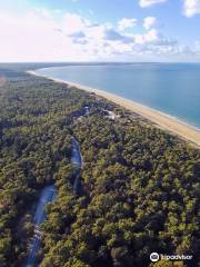 Wing Island or Catamaran