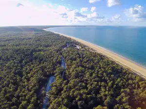 Wing Island or Catamaran