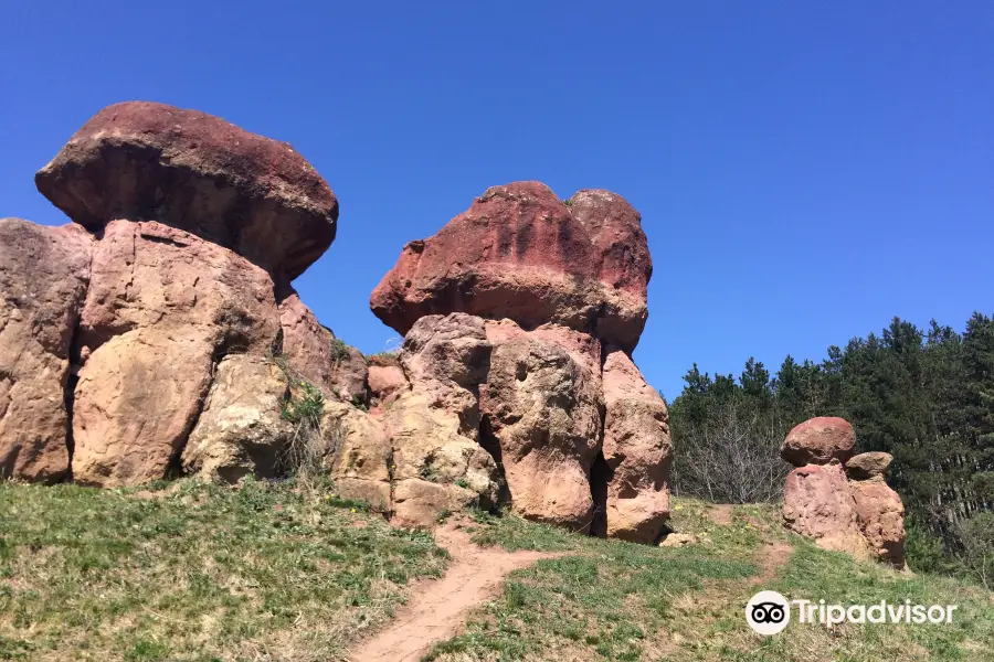 Red Giant Stone Mushrooms