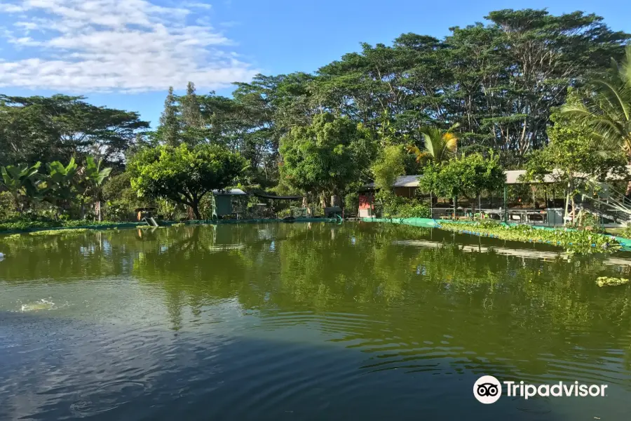 Hobby Garden Hawaii