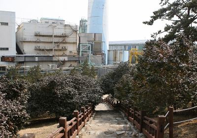 Maryang-ri Camellia Forest