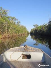 Pantanal Fluminense
