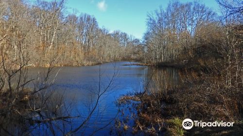 Watchung Reservation