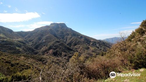 Riserva Naturale Orientata Fiumedinisi e Monte Scuderi