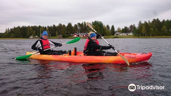 Nordic Life Experience