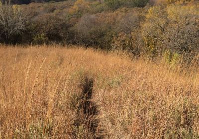 Stone State Park