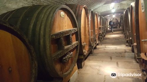 Historic Wine Cellar of the Strasbourg Hospices
