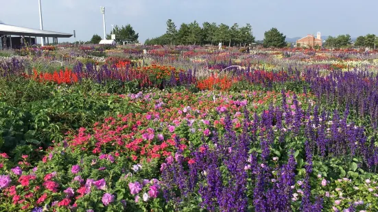 山口きらら博記念公園