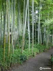 Mukojima-Hyakkaen Gardens