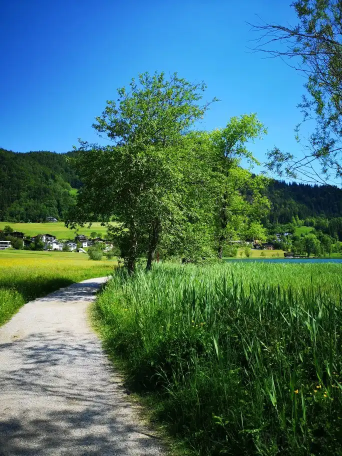 Hôtels à : Gemeinde Thiersee