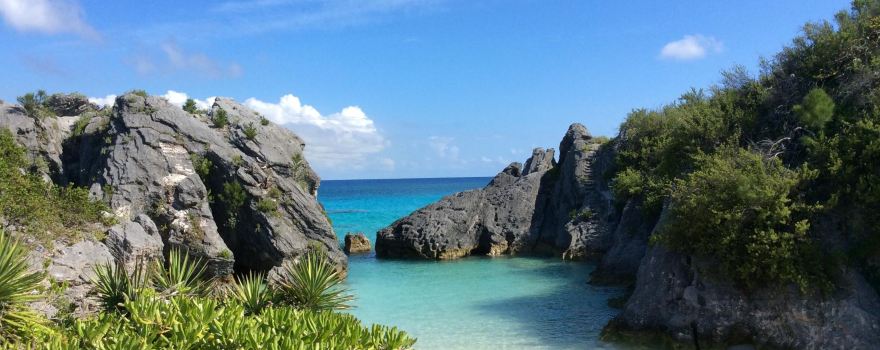 Jobson's Cove