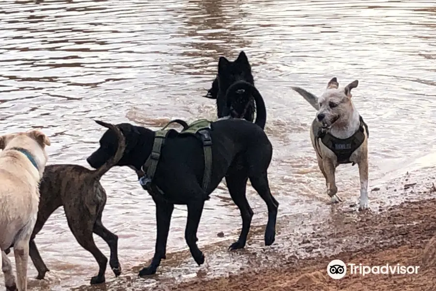 Shreveport Dog Park