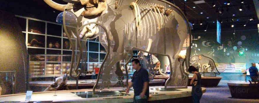 Western Science Center