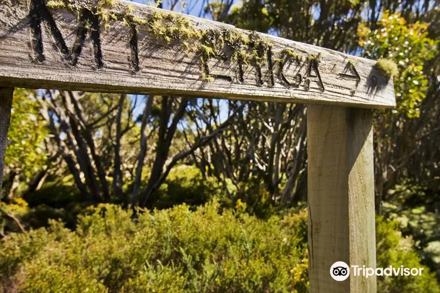 Great Walhalla Alpine Trail