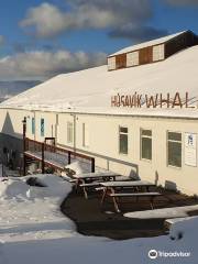 Húsavík Whale Museum