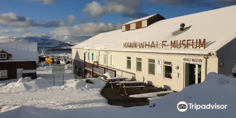 胡薩維克鯨魚博物館
