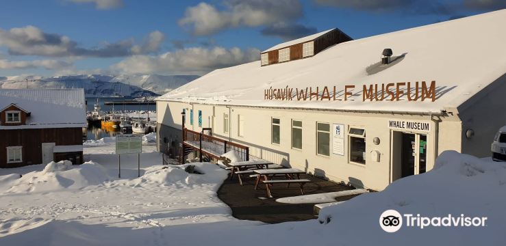 Húsavík Whale Museum