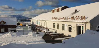 Húsavík Whale Museum