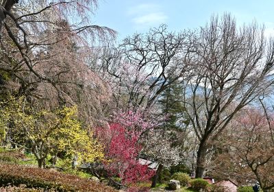 烏帽子山公園