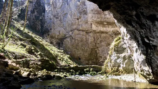 Rakov Škocjan Valley