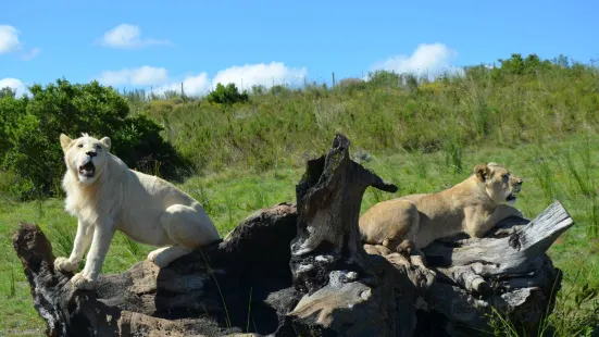 Zorgfontein Game Farm