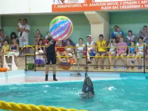 Gelendzhik Dolphinarium