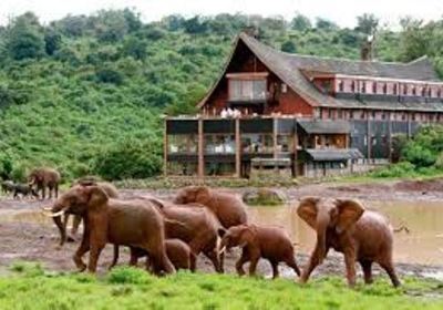 Aberdare National Park