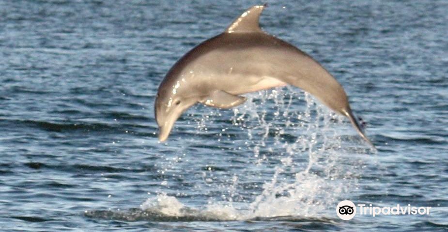 ChincoteagueTagestouren