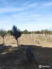 Necropolis de las Ruedas-Yacimiento de Pintia