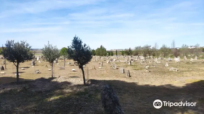 4_Necropolis de las Ruedas-Yacimiento de Pintia