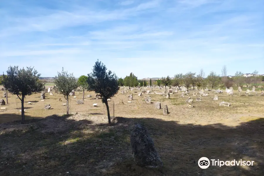 Necropolis de las Ruedas-Yacimiento de Pintia