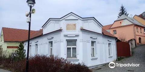 House c. 246 - Puchmajer House