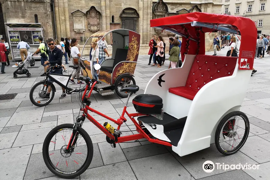 Eco Tricycle Vienna Tours
