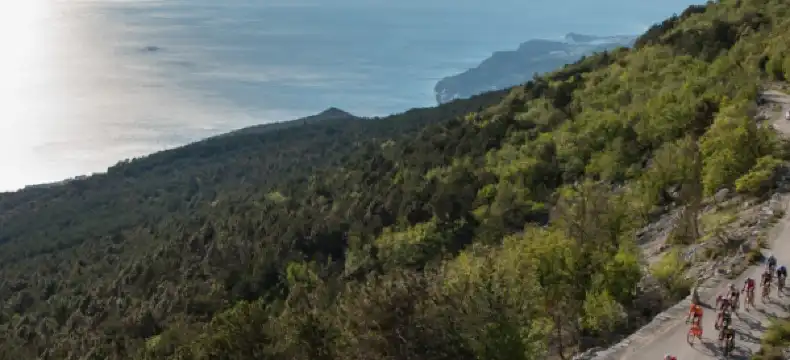 Hotels in Opcina Tucepi