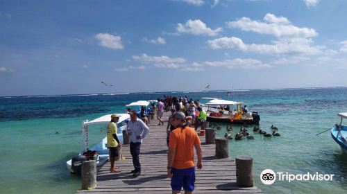 National Reef Park Of Puerto Morelos