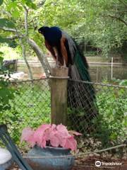 ブレックズ・バトン・ルージュ動物園