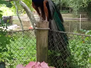 ブレックズ・バトン・ルージュ動物園