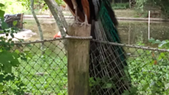 ブレックズ・バトン・ルージュ動物園