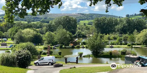 White Spring Fishery