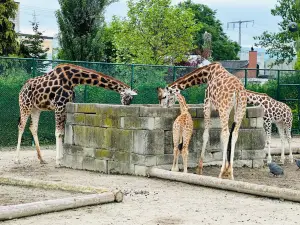 Knie's Kinderzoo