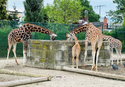 Knie's Kinderzoo