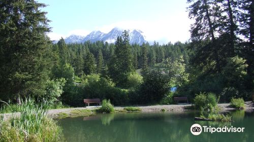 Kootenay Trout Hatchery & Visitor Centre