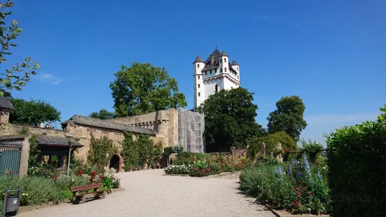 Eltville Castle