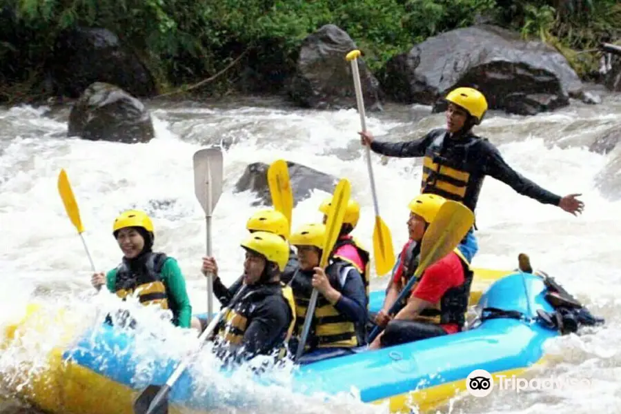 Ayungriverrafting（dot）net