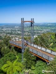 Sealy Lookout