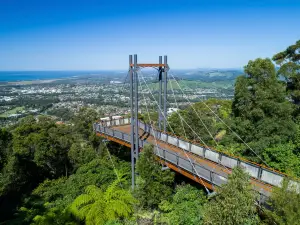 Sealy Lookout