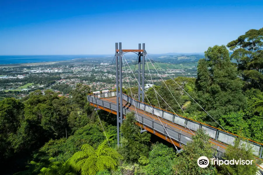 Sealy Lookout