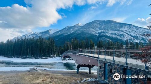 Bow River Trail